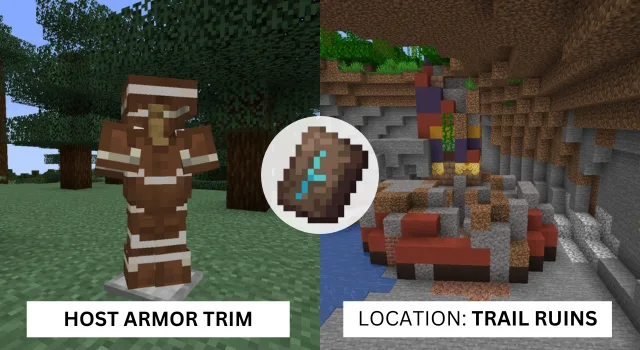 Host Armor Trim